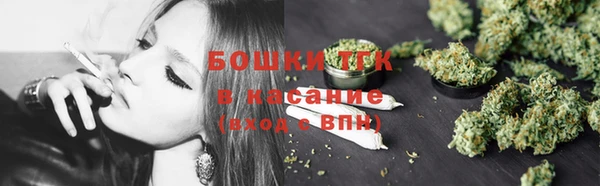 твердый Богданович