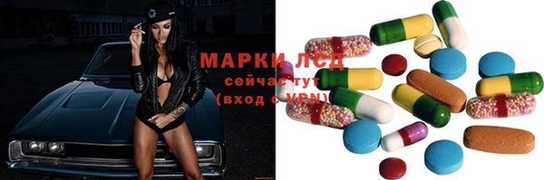 твердый Богданович