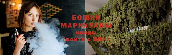 PSILOCYBIN Белоозёрский